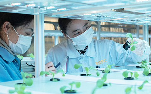 了解威海華菱光電智慧農(nóng)業(yè)